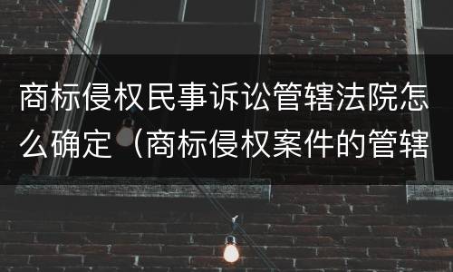 商标侵权民事诉讼管辖法院怎么确定（商标侵权案件的管辖法院）