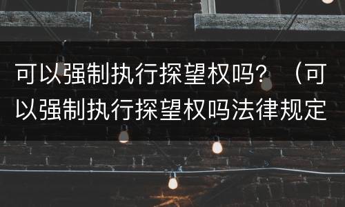 可以强制执行探望权吗？（可以强制执行探望权吗法律规定）