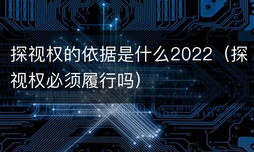 探视权的依据是什么2022（探视权必须履行吗）