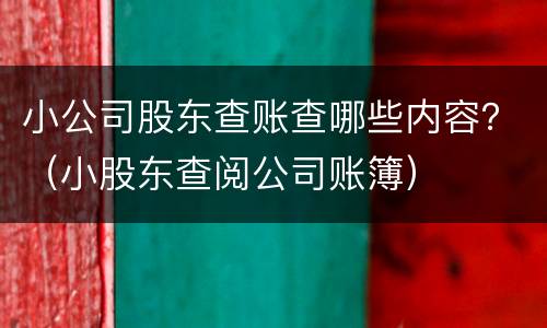 小公司股东查账查哪些内容？（小股东查阅公司账簿）