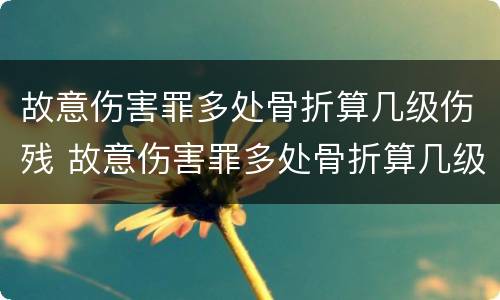 故意伤害罪多处骨折算几级伤残 故意伤害罪多处骨折算几级伤残标准