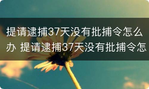 提请逮捕37天没有批捕令怎么办 提请逮捕37天没有批捕令怎么办理