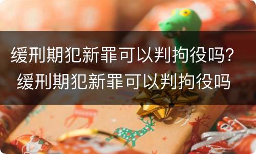 缓刑期犯新罪可以判拘役吗？ 缓刑期犯新罪可以判拘役吗