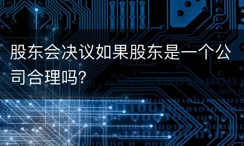 股东会决议如果股东是一个公司合理吗？