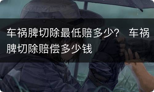 车祸脾切除最低赔多少？ 车祸脾切除赔偿多少钱