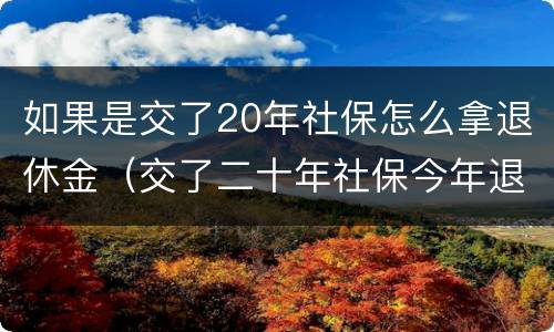 如果是交了20年社保怎么拿退休金（交了二十年社保今年退休能拿多少钱）