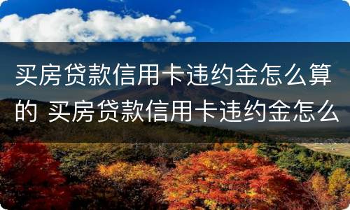 买房贷款信用卡违约金怎么算的 买房贷款信用卡违约金怎么算的啊