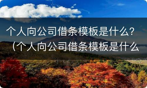 个人向公司借条模板是什么？（个人向公司借条模板是什么样子）