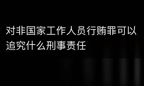 对非国家工作人员行贿罪可以追究什么刑事责任