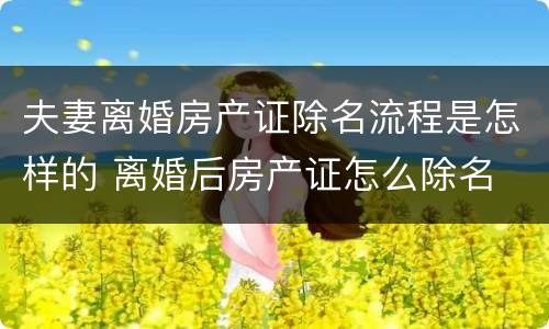 夫妻离婚房产证除名流程是怎样的 离婚后房产证怎么除名