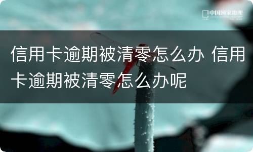 信用卡逾期被清零怎么办 信用卡逾期被清零怎么办呢