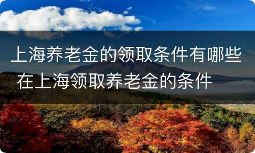 上海养老金的领取条件有哪些 在上海领取养老金的条件