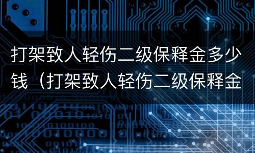 打架致人轻伤二级保释金多少钱（打架致人轻伤二级保释金多少钱一天）