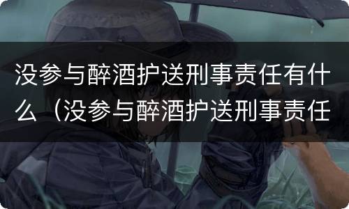 没参与醉酒护送刑事责任有什么（没参与醉酒护送刑事责任有什么影响）