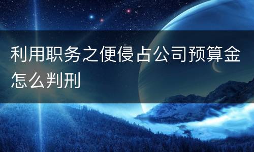 利用职务之便侵占公司预算金怎么判刑