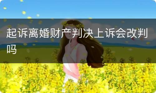 起诉离婚财产判决上诉会改判吗