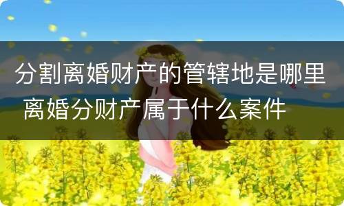 分割离婚财产的管辖地是哪里 离婚分财产属于什么案件