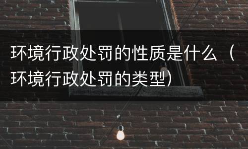 环境行政处罚的性质是什么（环境行政处罚的类型）