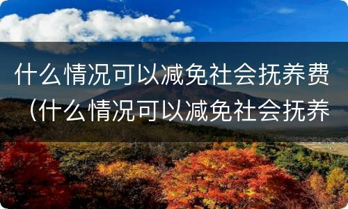 什么情况可以减免社会抚养费（什么情况可以减免社会抚养费呢）