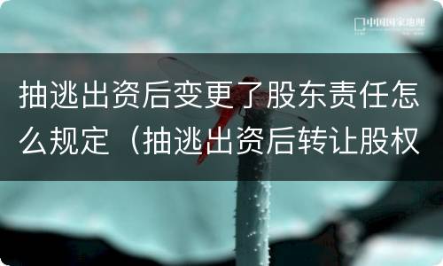 抽逃出资后变更了股东责任怎么规定（抽逃出资后转让股权,受让人承担什么责任）