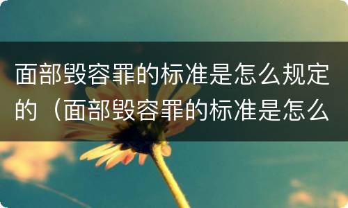 面部毁容罪的标准是怎么规定的（面部毁容罪的标准是怎么规定的呢）