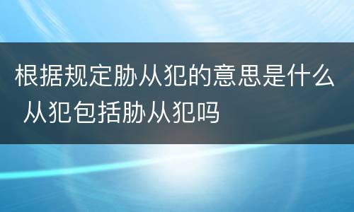 根据规定胁从犯的意思是什么 从犯包括胁从犯吗