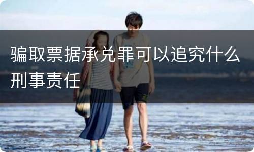 骗取票据承兑罪可以追究什么刑事责任