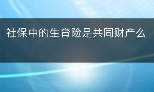 社保中的生育险是共同财产么