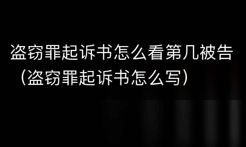 盗窃罪起诉书怎么看第几被告（盗窃罪起诉书怎么写）