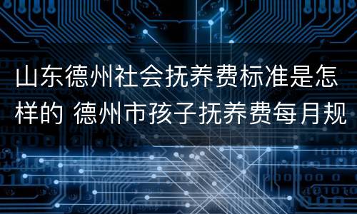 山东德州社会抚养费标准是怎样的 德州市孩子抚养费每月规定多少