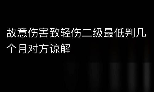 故意伤害致轻伤二级最低判几个月对方谅解