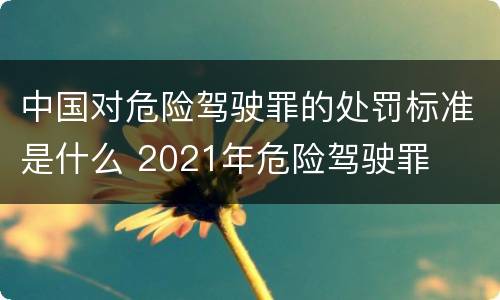 中国对危险驾驶罪的处罚标准是什么 2021年危险驾驶罪