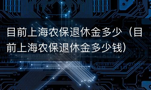 目前上海农保退休金多少（目前上海农保退休金多少钱）