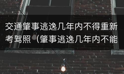 交通肇事逃逸几年内不得重新考驾照（肇事逃逸几年内不能考驾照）