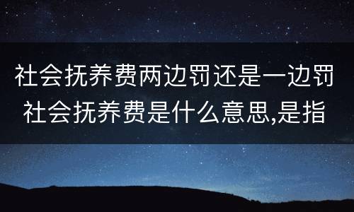 社会抚养费两边罚还是一边罚 社会抚养费是什么意思,是指罚款吗?