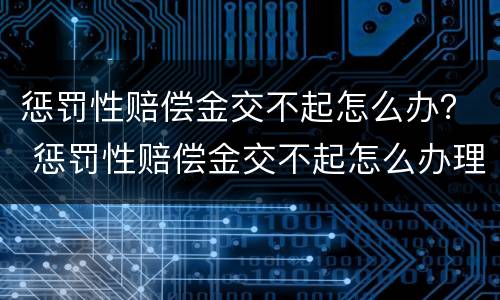 惩罚性赔偿金交不起怎么办？ 惩罚性赔偿金交不起怎么办理