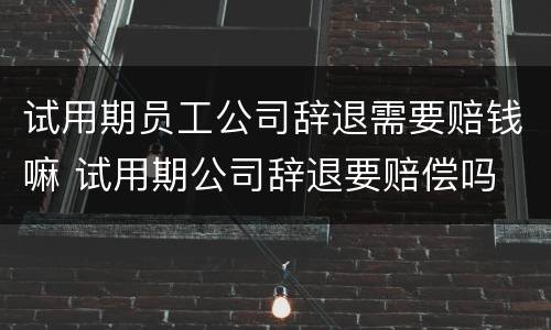 试用期员工公司辞退需要赔钱嘛 试用期公司辞退要赔偿吗