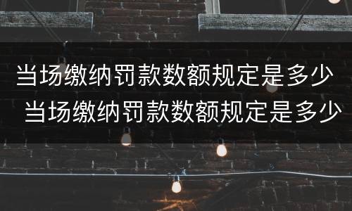 当场缴纳罚款数额规定是多少 当场缴纳罚款数额规定是多少