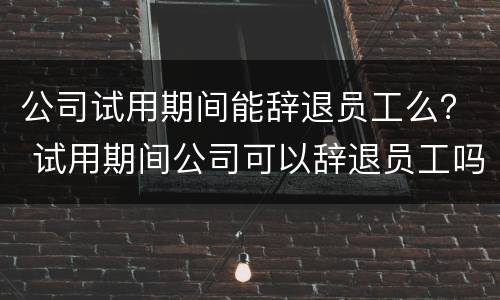 公司试用期间能辞退员工么？ 试用期间公司可以辞退员工吗