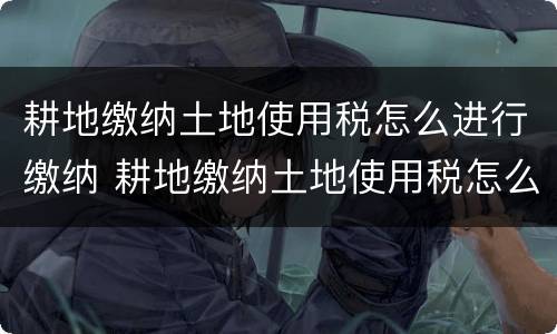 耕地缴纳土地使用税怎么进行缴纳 耕地缴纳土地使用税怎么进行缴纳增值税