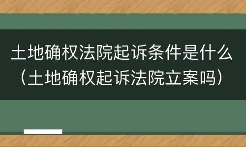 土地确权法院起诉条件是什么（土地确权起诉法院立案吗）