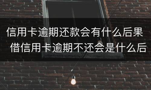 信用卡逾期还款会有什么后果 借信用卡逾期不还会是什么后果