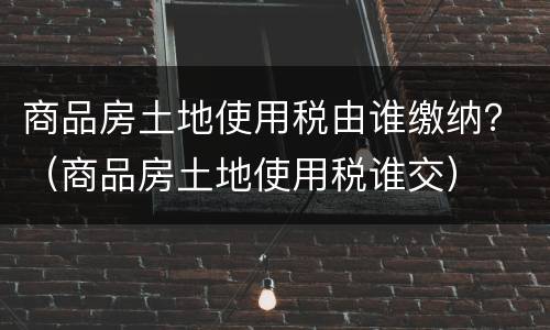 商品房土地使用税由谁缴纳？（商品房土地使用税谁交）