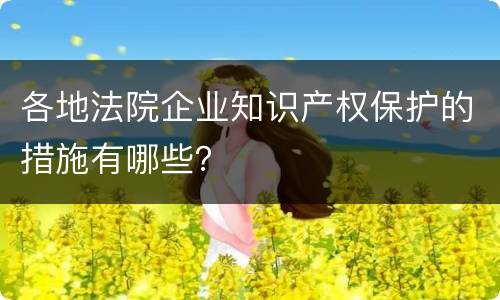 各地法院企业知识产权保护的措施有哪些？