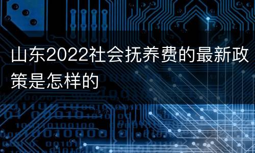 山东2022社会抚养费的最新政策是怎样的