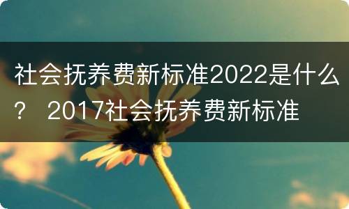 社会抚养费新标准2022是什么？ 2017社会抚养费新标准