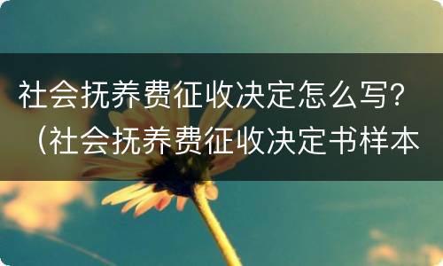 社会抚养费征收决定怎么写？（社会抚养费征收决定书样本）