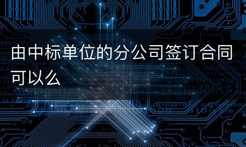 由中标单位的分公司签订合同可以么