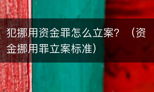 犯挪用资金罪怎么立案？（资金挪用罪立案标准）