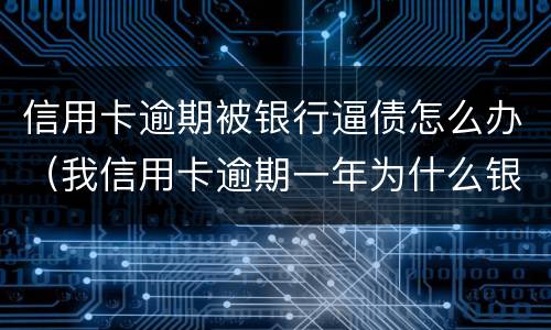 信用卡逾期被银行逼债怎么办（我信用卡逾期一年为什么银行没催我）